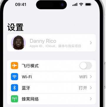 虎门镇appleID维修服务iPhone设置中Apple ID显示为灰色无法使用 