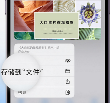 虎门镇apple维修中心分享iPhone文件应用中存储和找到下载文件