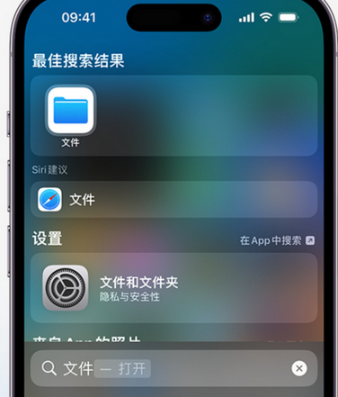 虎门镇apple维修中心分享iPhone文件应用中存储和找到下载文件