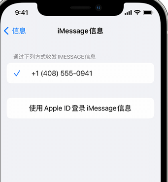 虎门镇apple维修iPhone上无法正常发送iMessage信息