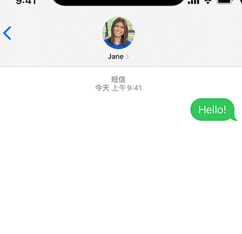 虎门镇apple维修iPhone上无法正常发送iMessage信息