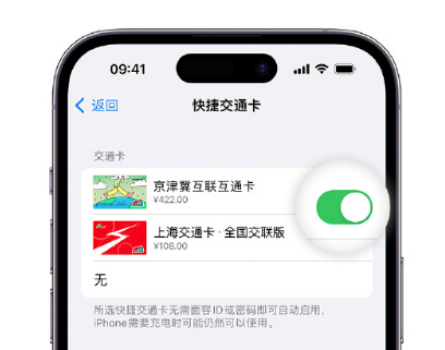 虎门镇apple维修点分享iPhone上更换Apple Pay快捷交通卡手绘卡面 