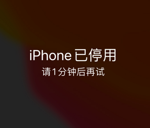 虎门镇苹果手机维修分享:iPhone 显示“不可用”或“已停用”怎么办？还能保留数据吗？ 