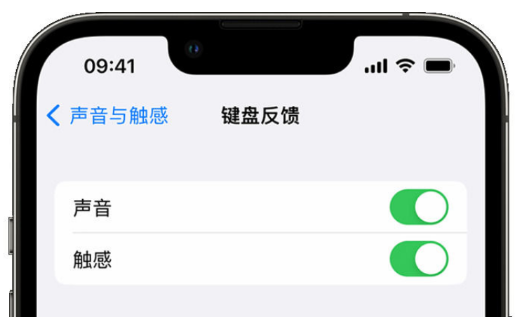 虎门镇苹果手机维修分享iPhone 14触感键盘使用方法 