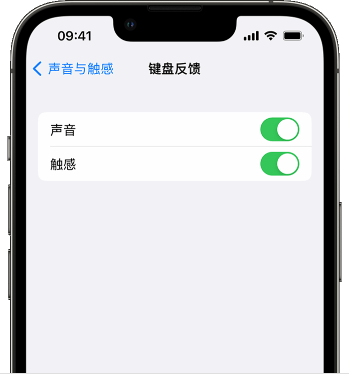 虎门镇苹果14维修店分享如何在 iPhone 14 机型中使用触感键盘 