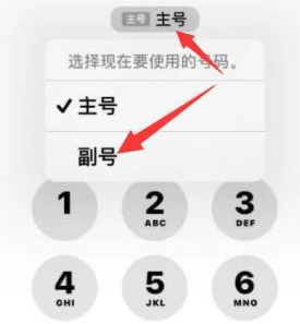 虎门镇苹果14维修店分享iPhone 14 Pro Max使用副卡打电话的方法 