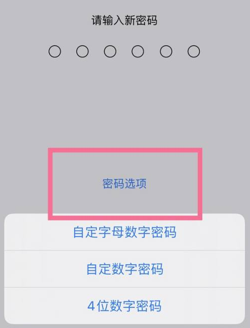 虎门镇苹果14维修分享iPhone 14plus设置密码的方法 