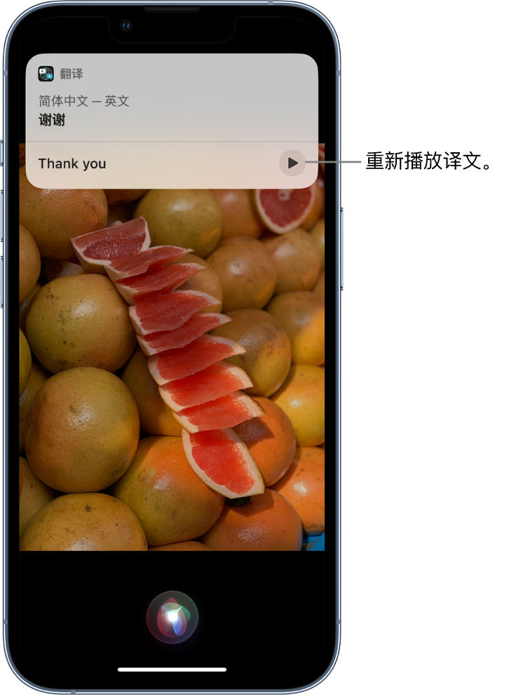 虎门镇苹果14维修分享 iPhone 14 机型中使用 Siri：了解 Siri 能帮你做什么 