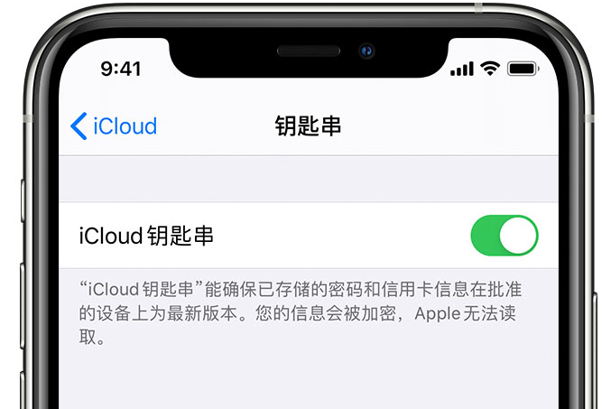 虎门镇苹果手机维修分享在 iPhone 上开启 iCloud 钥匙串之后会储存哪些信息 