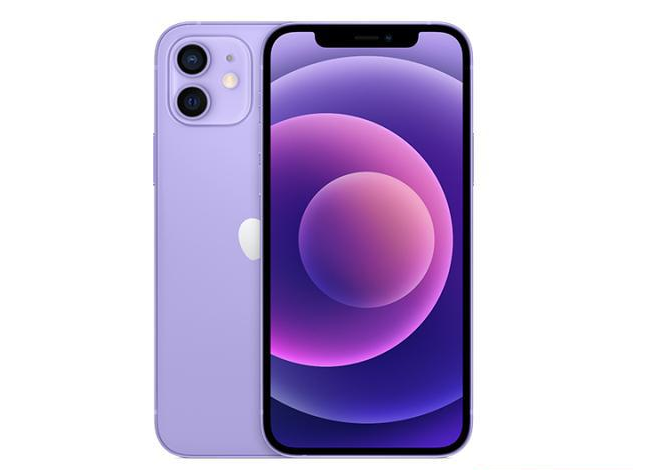 虎门镇苹果手机维修分享现阶段要不要入手紫色版iPhone12 